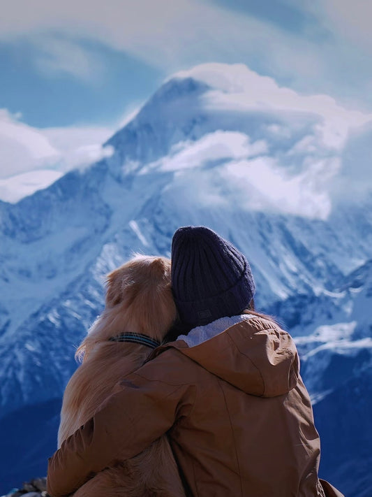 5 Unique Ways to Honor Your Beloved Pet Through Art