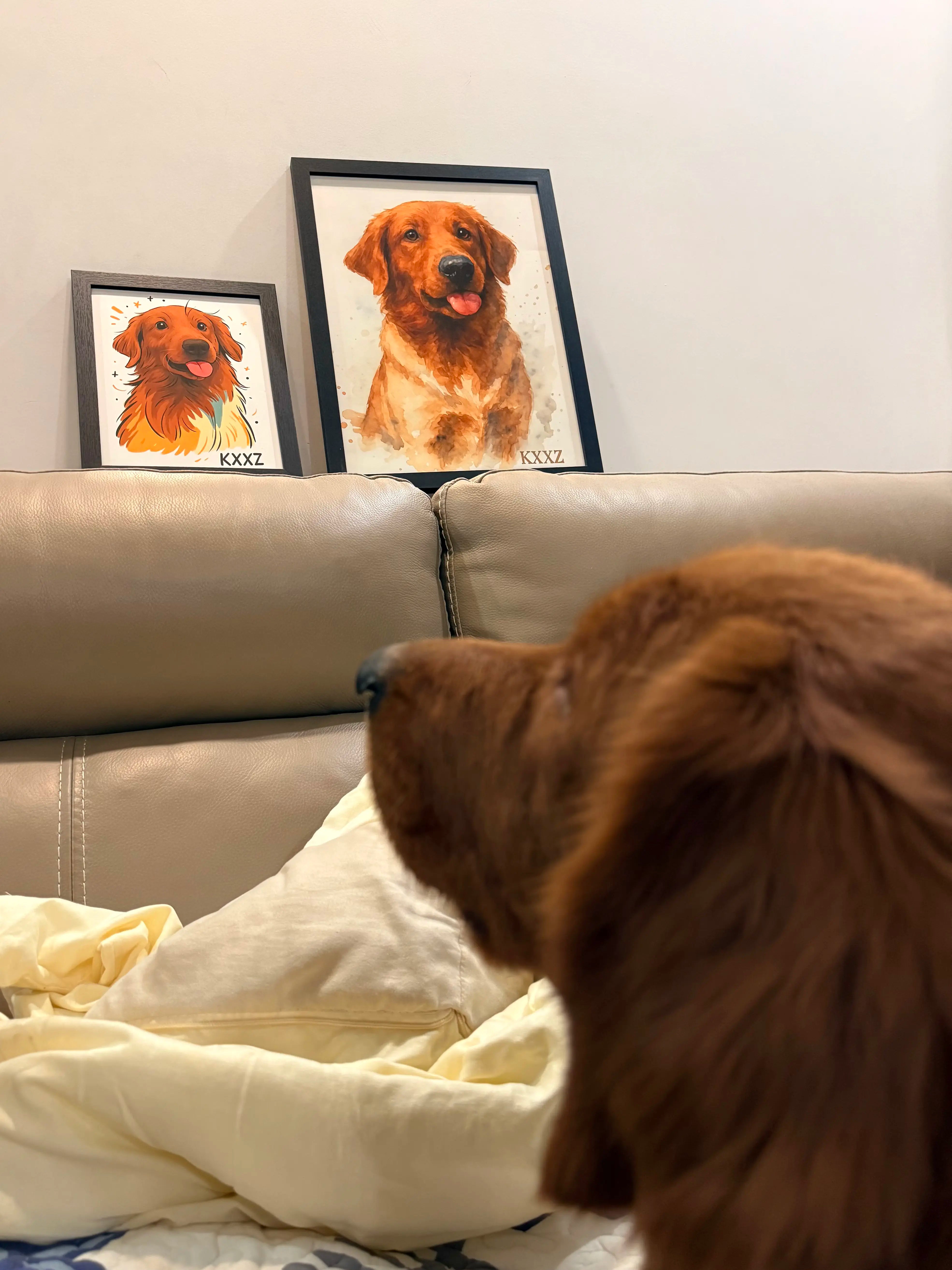 Brown dog looking at framed pictures of dogs on a beige couch.